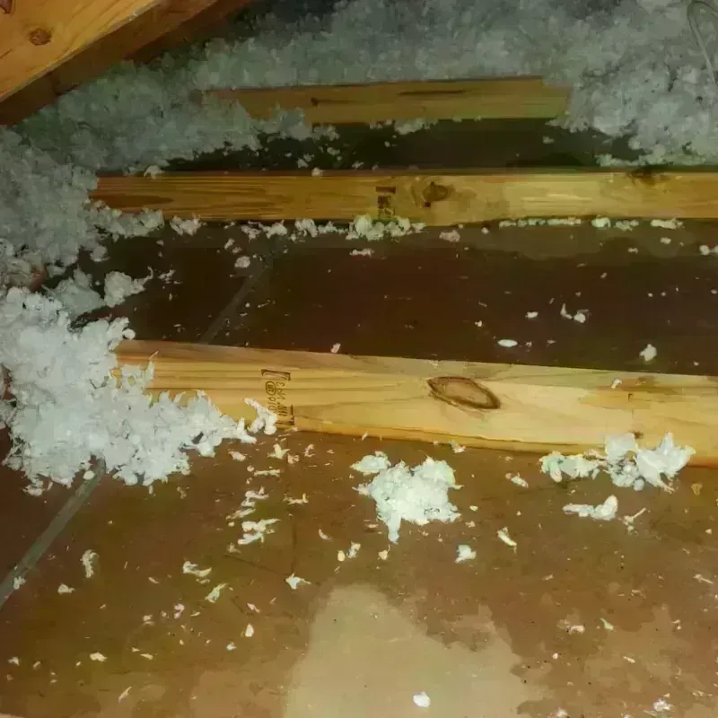 Attic Water Damage in McComb, MS