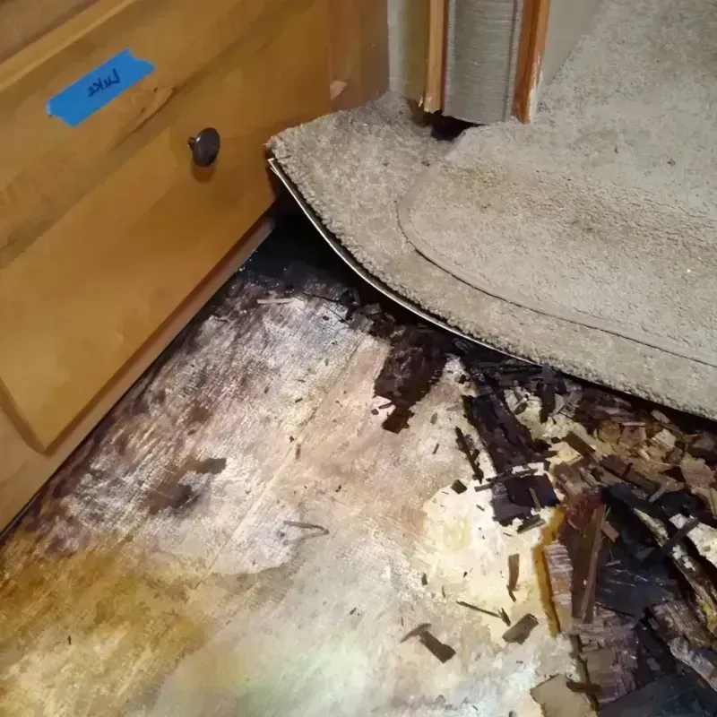 Wood Floor Water Damage in McComb, MS